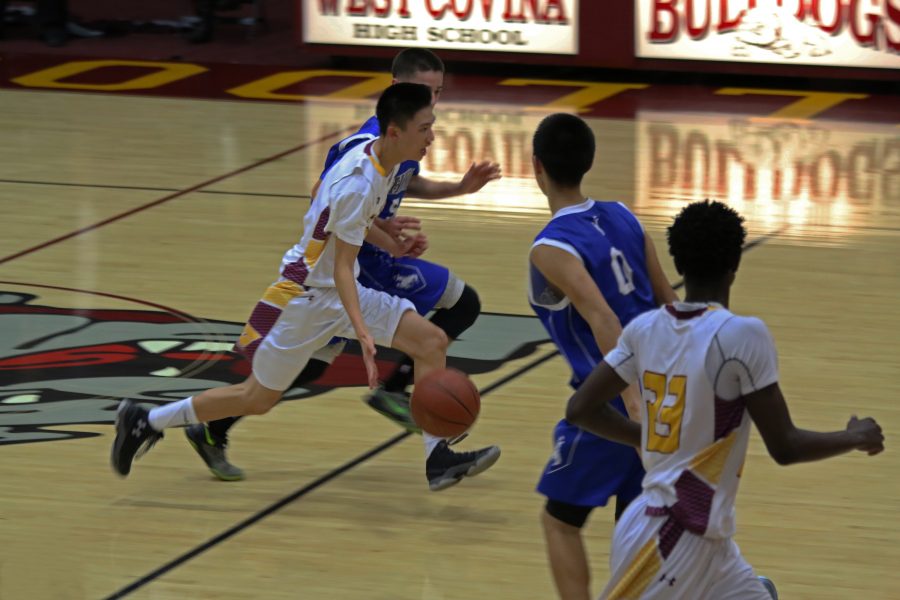 Bulldog Basketball Falls Short of Victory