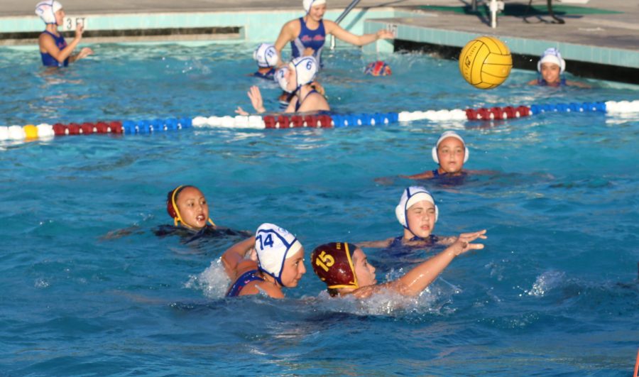 Girls Varsity Water Polo Senior Night