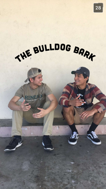 Podcast: The Bulldog Bark