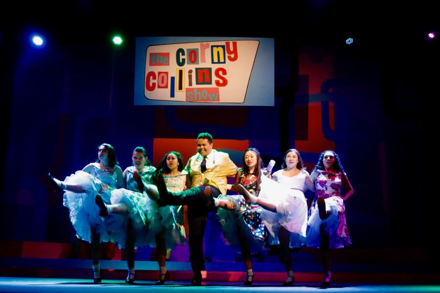 Hairspray: The Musical Review