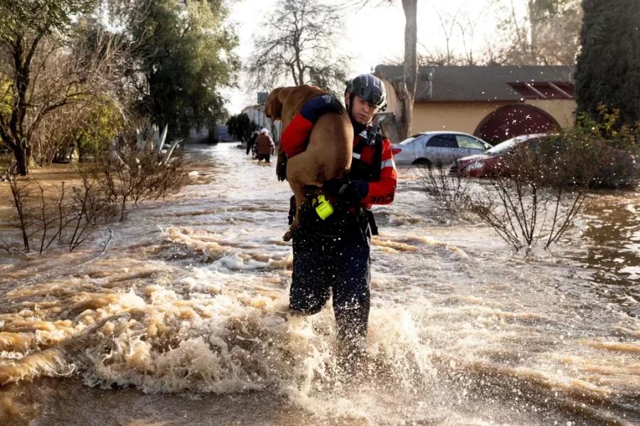 San Diego firefighter Brian Sanford 
saves dog from rushing flood water from
The recents storms across California 
Photo by Josh Edelson/AFP via getty images.

