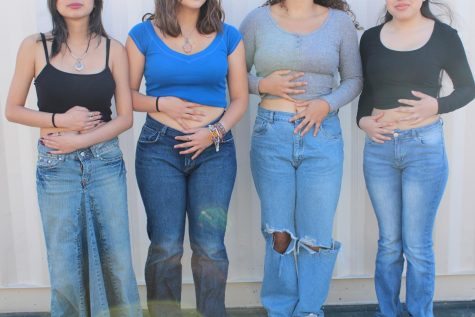 Female students model the insecurity that dress code inflicts. I was showing like an inch or probably less of my stomach, which to me didnt feel distracting at all, and it became a problem, said Isabella Martinez. 