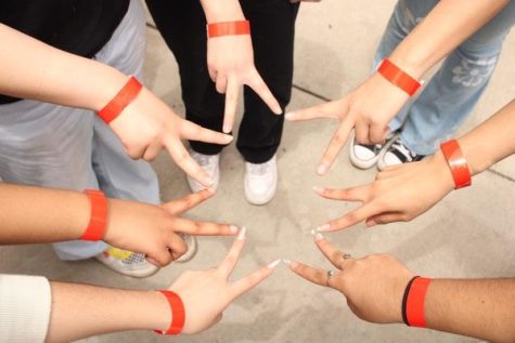 Bottom left to bottom right: Seniors Mikayla Banzon, Jocelyn Aguilar, Leilany Garcia, Ella Hernandez, Dorsey Yan, Reemna and Vivian Xu posing with their wristbands which provide them access to senior decision day.
