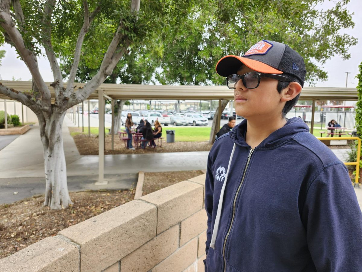 Freshman Michael De La Torre didn’t participate in many school activities, but has enjoyed the school environment throughout the year. He explained that he looks forward to joining the Super Smash Bros E-Ssports team next year.