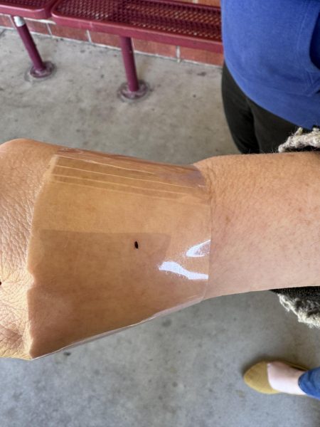  ERWC and ELD I teacher Amanda Vivas tapes a flea that landed on her arm last November as proof to show administration that fleas exist in her classroom. She had been teaching in the Media Center while her classroom was quarantined. “This day that I had a flea taped to me though I will tell you I bawled. I was crying. Oh my god I looked like the most crazy person. As though you're not already crazy with a flea taped to you, that's already a sign of mania right. I’m also crying… What’s going on? What is my world?” said Vivas. 