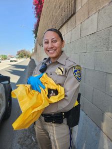 Jacquelyn Vasquez holds a rescued kitten. “I always wanted to go into law enforcement to have a positive impact on my community and leave everyone I encounter with a positive impact about law enforcement,” Vasquez said. 
