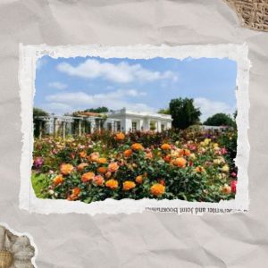 The Huntington Library, home to one-of-a-kind botanical gardens. 