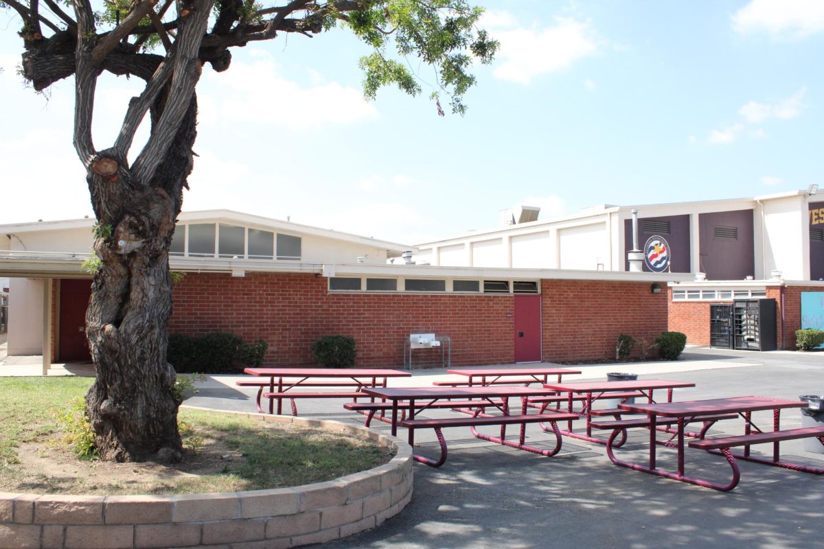 In between the E hallway and girls’ locker room, the benches are a spot to stay covered away from the sun. Though, the tables closest to the locker room used to have some shade, but do not as of now due to the trimmed branches of the tree. (Wendy Mac)