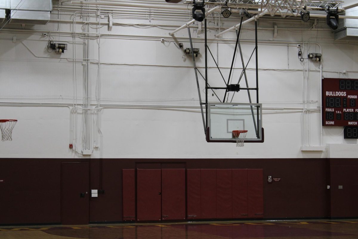 The white paint covers the previous mural, a gray bulldog with a red, spiked collar in a night setting, donated by Class of 2006.
