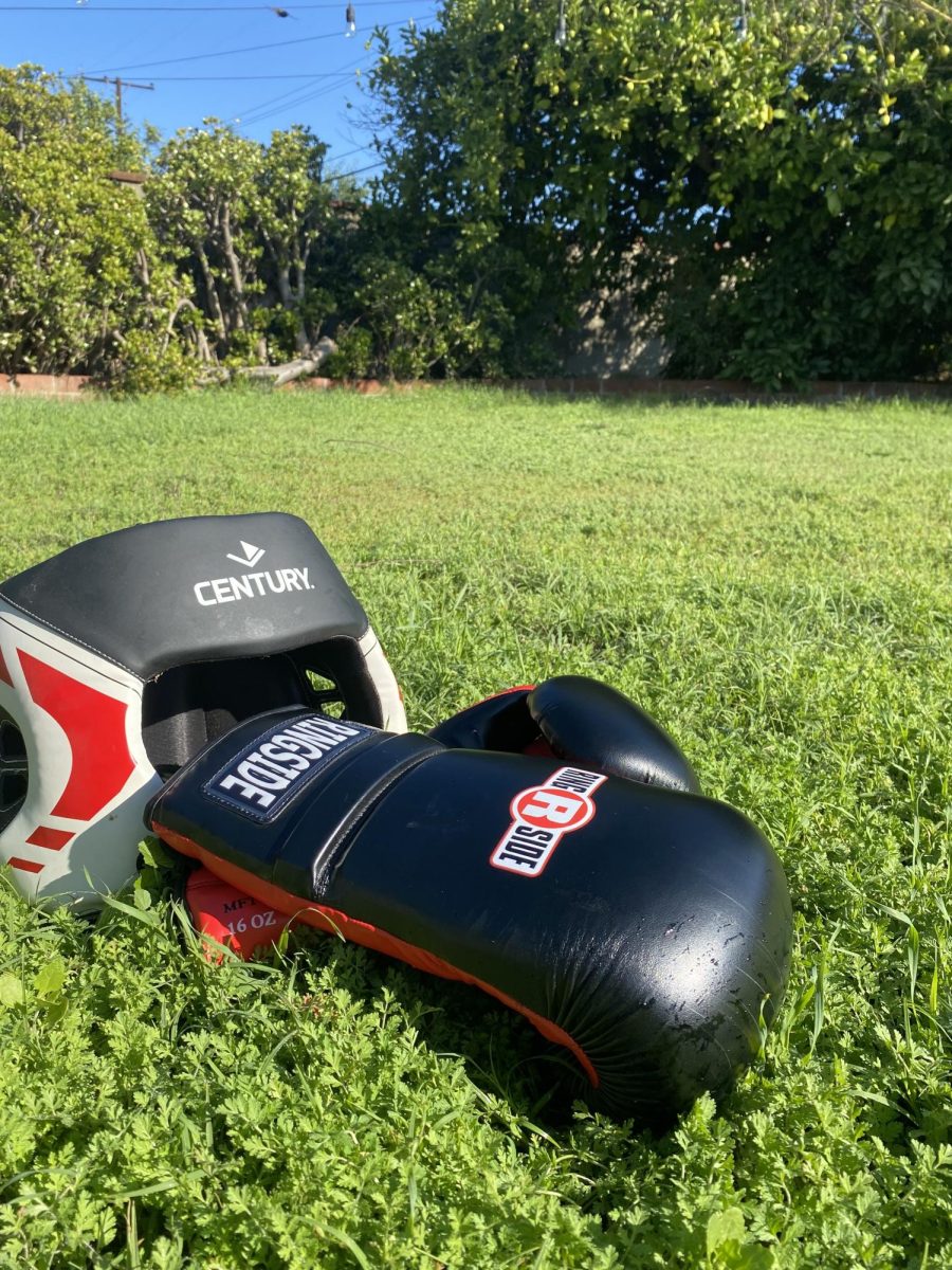 Combat sports are an outlet for future generations