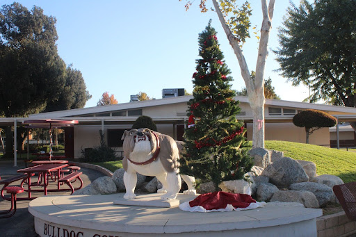 A Christmas tree stands decorated beside the bulldog statue on Monday morning. ASB placed holiday trees around popular walk-through areas to bring spirit and color to December.