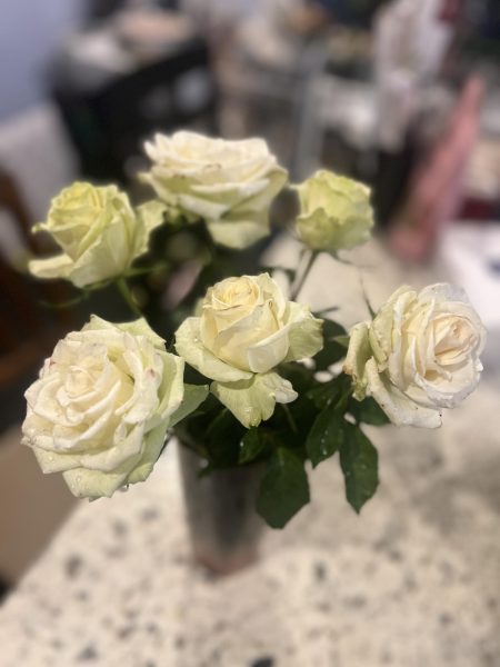 Flowers are common Mother’s Day gifts. But to acquire them, one doesn’t need to spend tons of money. Alternatively, one can grow their own flowers