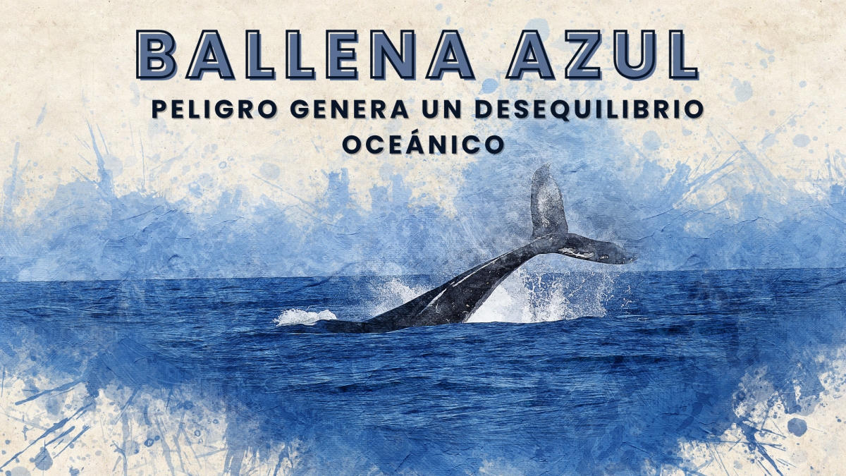 Red de Peligro de la Ballena Azul
